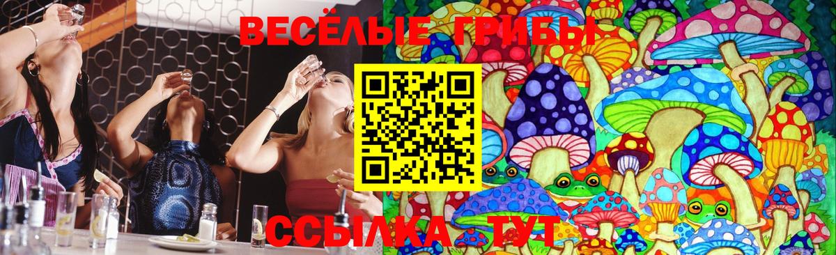 Галлюциногенные грибы прущие грибы Шелехов